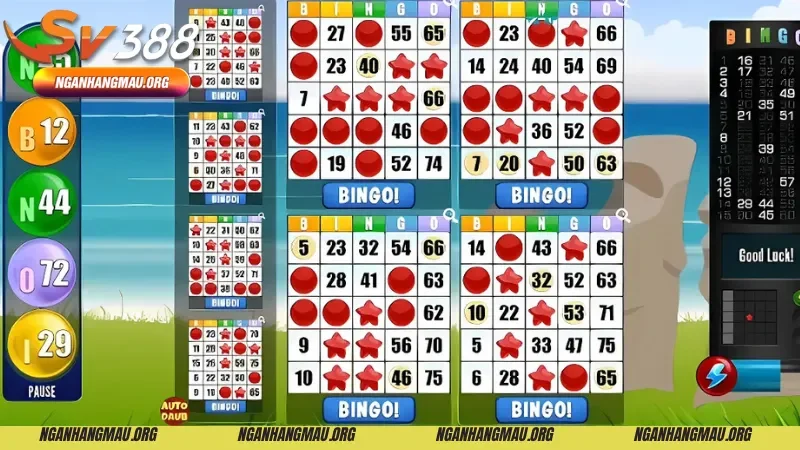 Luật chơi Bingo của các biến thể khác