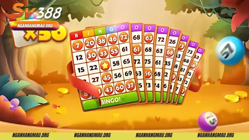 Luật chơi Bingo và cách dành chiến thắng hiệu quả